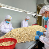 Hat Dieu Nhan Trang Nguyen Lieu Loai Be Doi WS