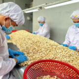 Hat Dieu Nhan Trang Nguyen Lieu Loai Be Doi WS